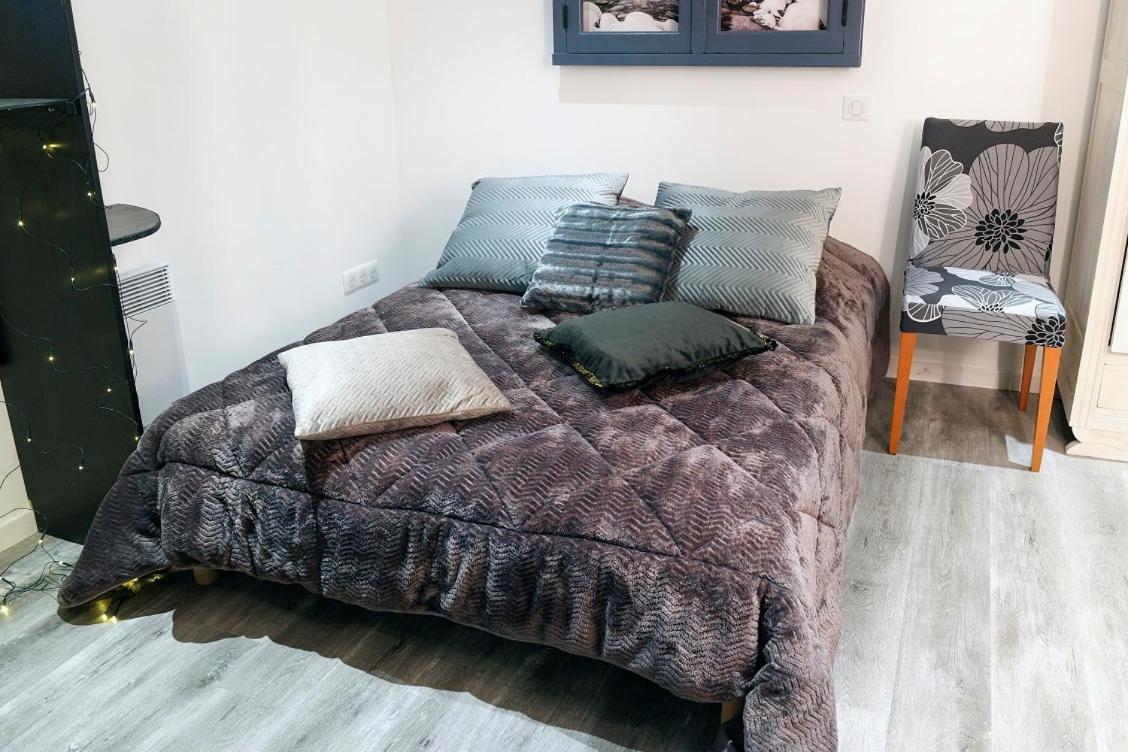 Pamiers Gare - 2 Appartements A Louer Ou Chambre Parentale Independante Екстериор снимка